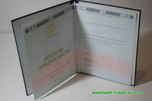 Купить диплом ВГЛТУ в Дмитрове — Воронежского Государственного Лесотехнического Университета имени Г. Ф. Морозова